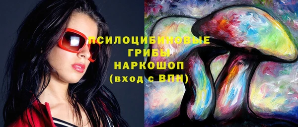 прущий лед Армянск