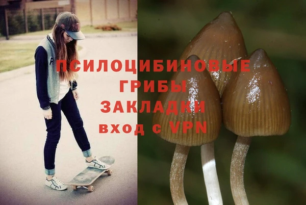 первитин Арсеньев