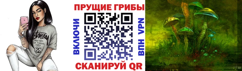 omg рабочий сайт  Трёхгорный  Галлюциногенные грибы Psilocybe 